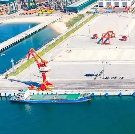 specialized bulk terminal